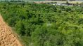 DJI_20250617160922_0061_D_zmenšené.JPG