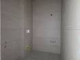 20260311_091047_resized.jpg
