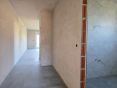 20260617_101521_resized.jpg