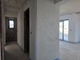 20260901_163004_resized.jpg