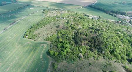 DJI_0032.jpg